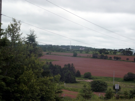 Prince Edward Island - Red Earth  - All natural